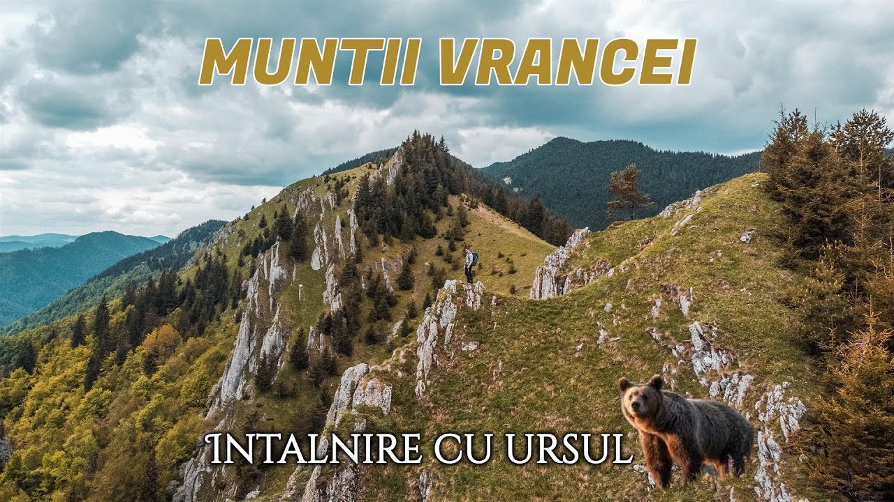Muntii Vrancei | Intalnire cu ursul | Turnurile Cozei,Saua Geamana,Golul Cozei