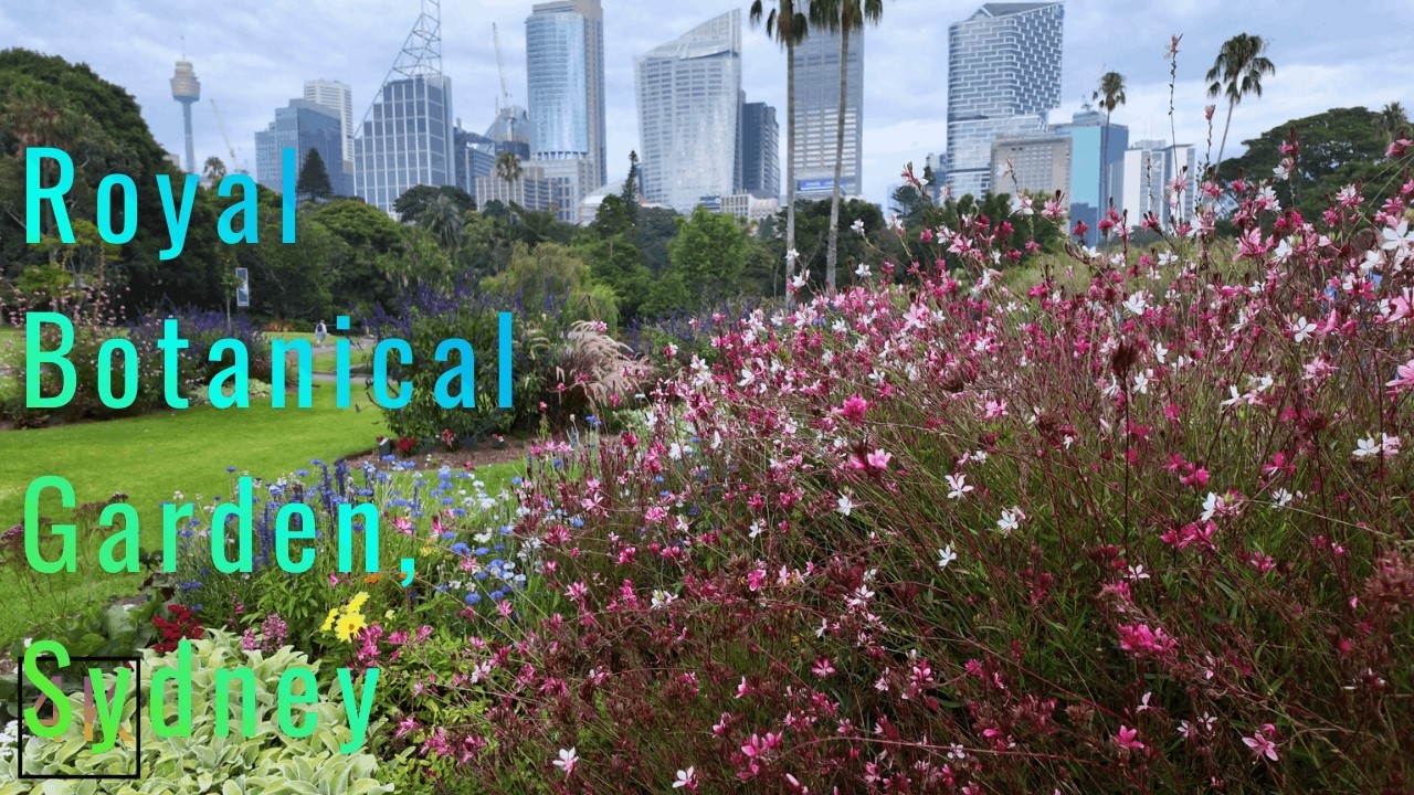 Sydney's Royal Botanic Garden Walk | Blooming Flowers & Native Birds | 4K ASMR