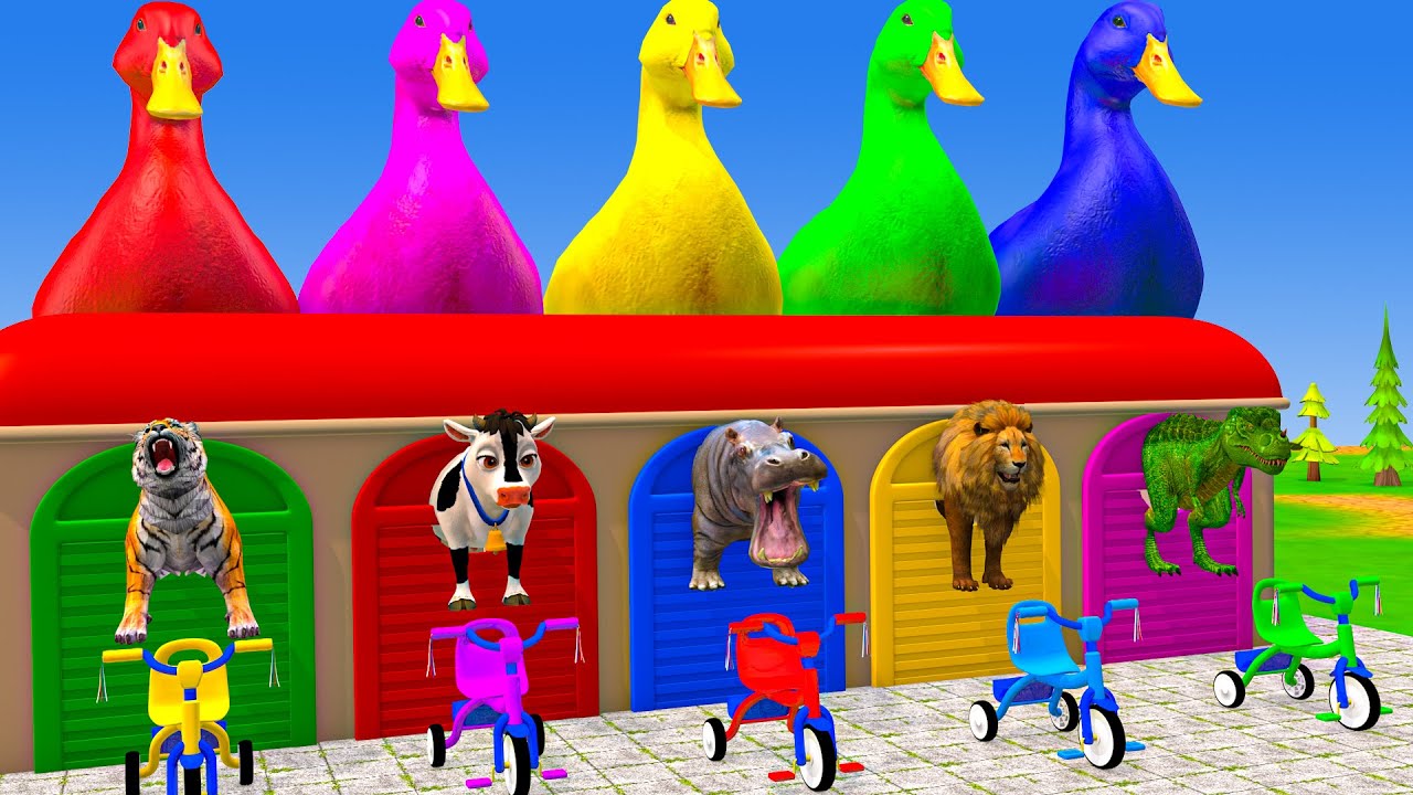 Long Slide Game With Cow Elephant Gorilla Hippopotamus Tiger - 3d Animal Game - Funny 3d Animals