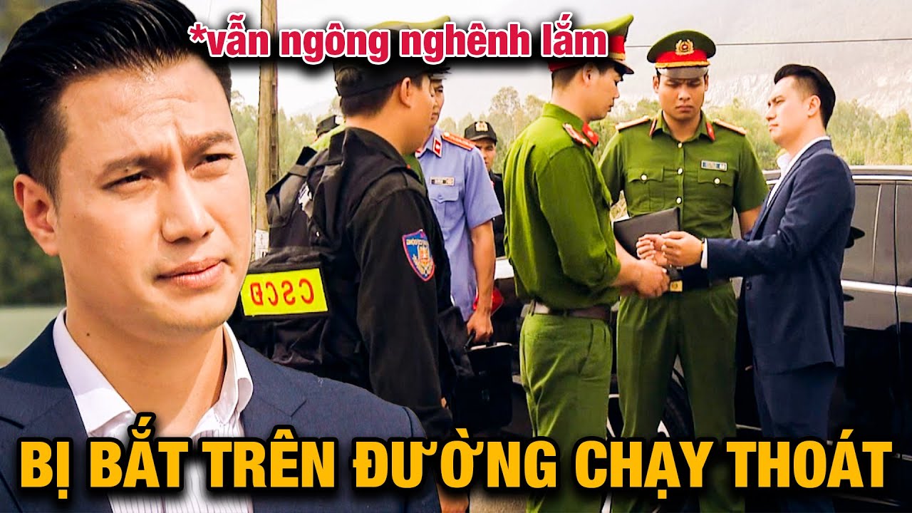 MAI HỒNG VŨ bị TÓM ngay trên đường CHẠY TRỐN, chuyến này CỤ ĐI CHÂN LẠNH TOÁT | Sinh Tử