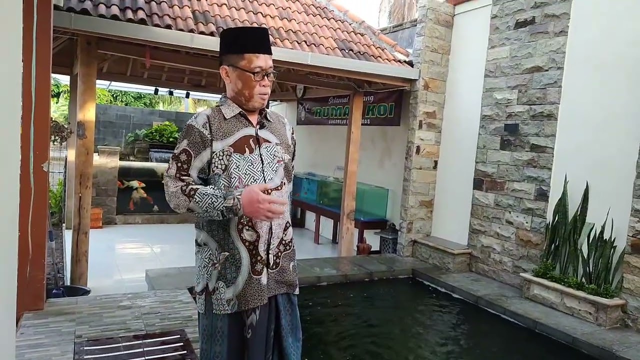 suka Duka pelihara koi #kolamikan #ikankoiberkualitas #ikan #koi