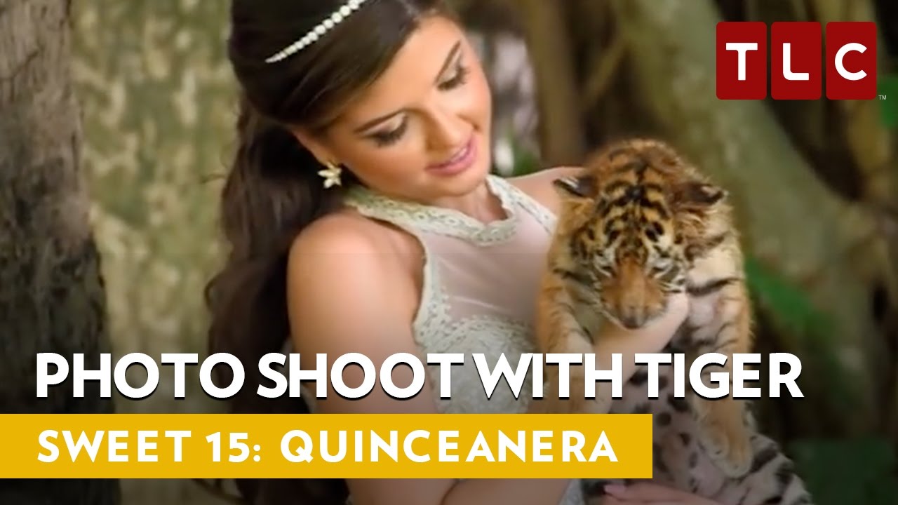 Photoshoot with a Baby Tiger | Sweet 15: Quinceanera