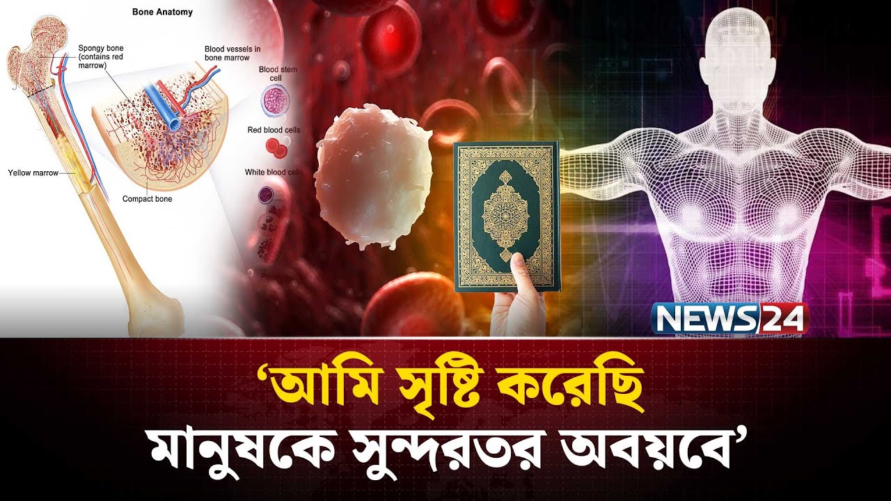মানবদেহ পৃথিবীর সবচেয়ে জটিল ও নিখুঁত ইঞ্জিনিয়ারিং প্রজেক্ট | The Creation of Mankind | NEWS24