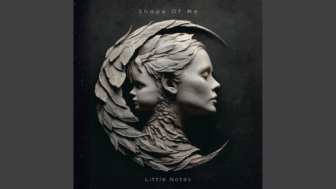 Shape Of Me