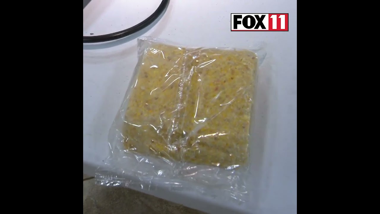 Help birds, wildlife in winter