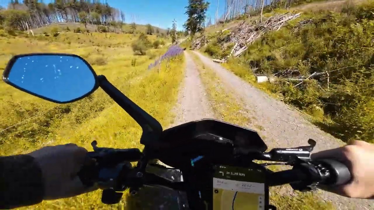 Reise in den Harz mit Konsequenzen Teil 2 Trittbrett Hilde