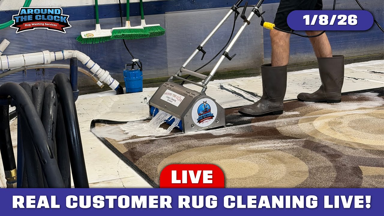 LIVE Rug Washing! 