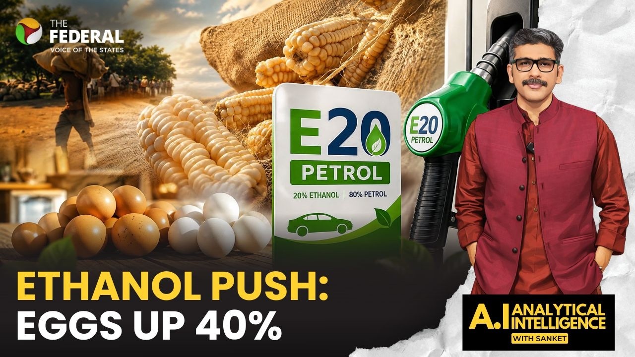 Ethanol policy has egg on its face: After sugar crisis, eggs now 40% costlier | AI With Sanket
