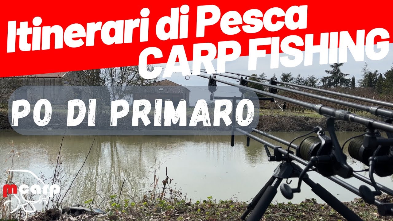 Tattica e Tecnica di Carpfishing nel Po di Primaro
