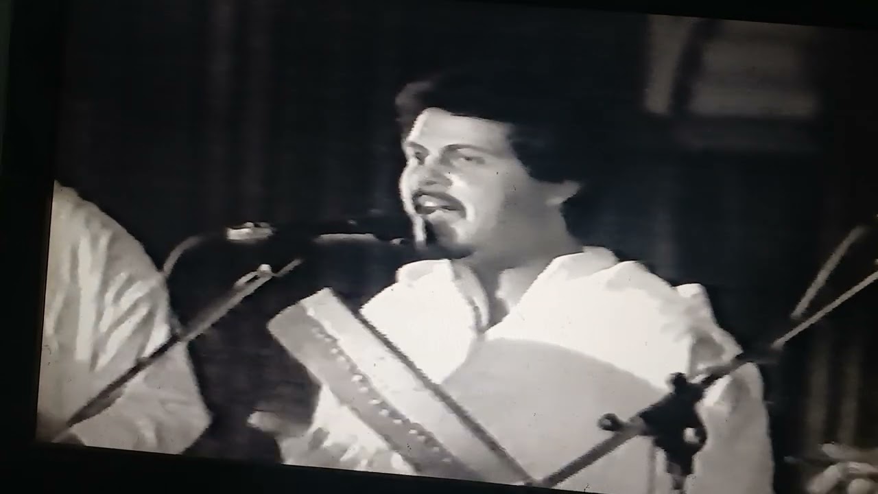 نجوم بوركون والزمن الجميل