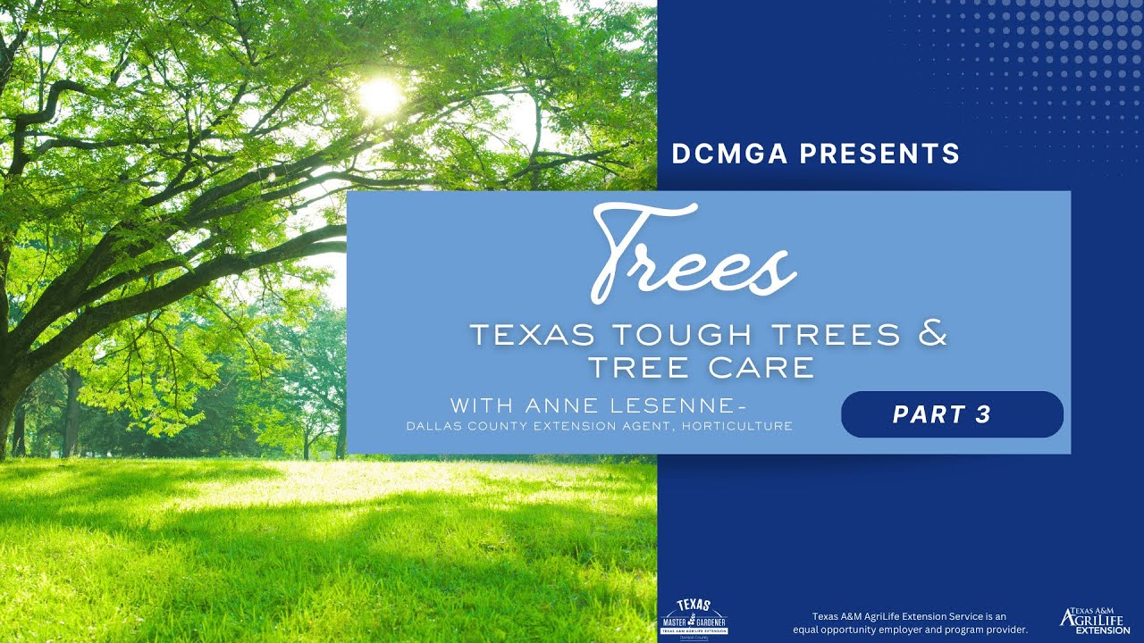 Denton County Master Gardeners Present, Trees & Tree Care, Part 3