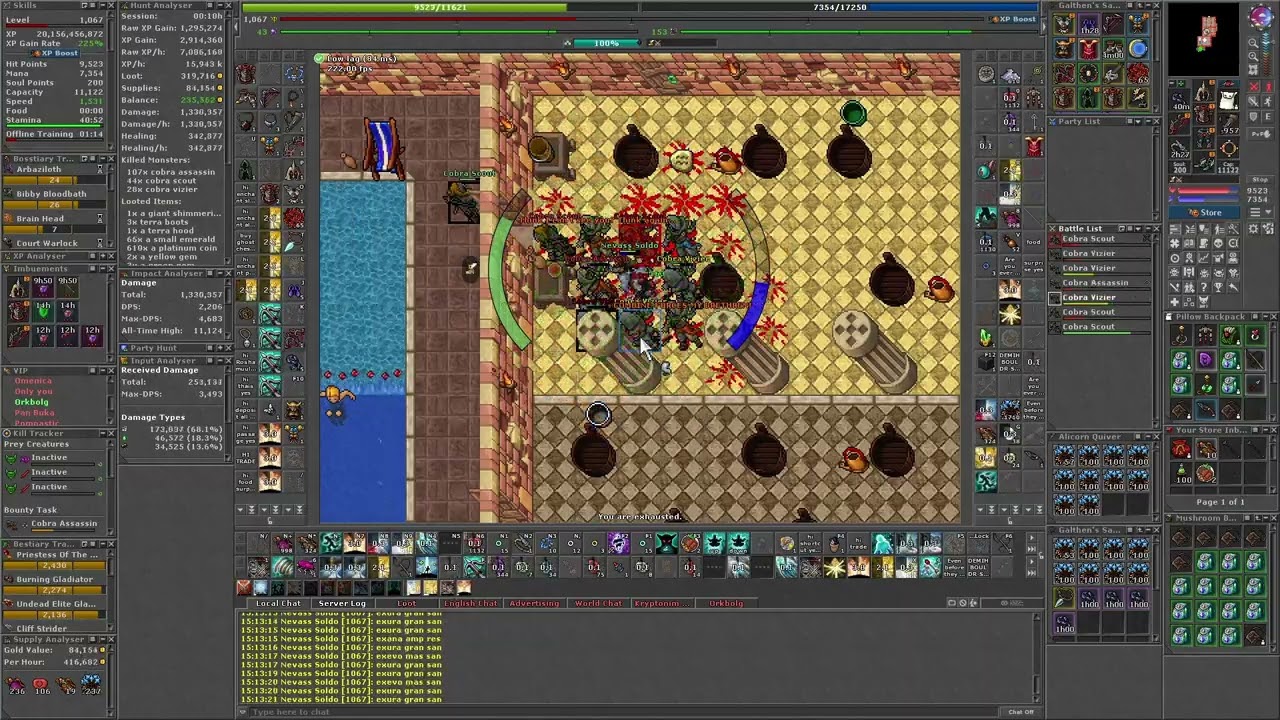 Cobra Bastion RP 1067 hunt 8,5kk Raw 1,5kk Profit Cobra Assasin Bounty Tibia