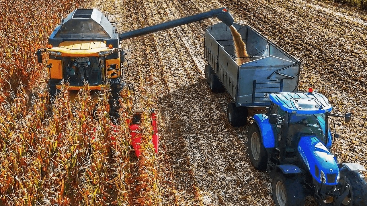 УРОЖАЙ КУКУРУЗЫ 2024 NEW HOLLAND CR CAPELLO DIAMANT