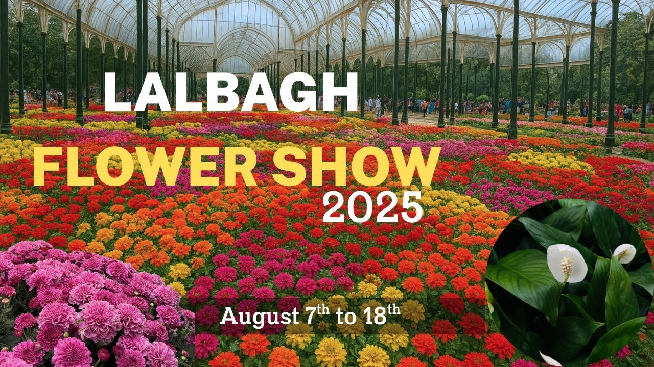  Lalbagh Flower Show 2025 | What’s Around Bangalore ? | 
