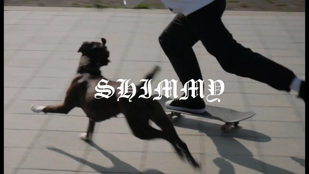 SHIMMY ft. Magnus Bordewick