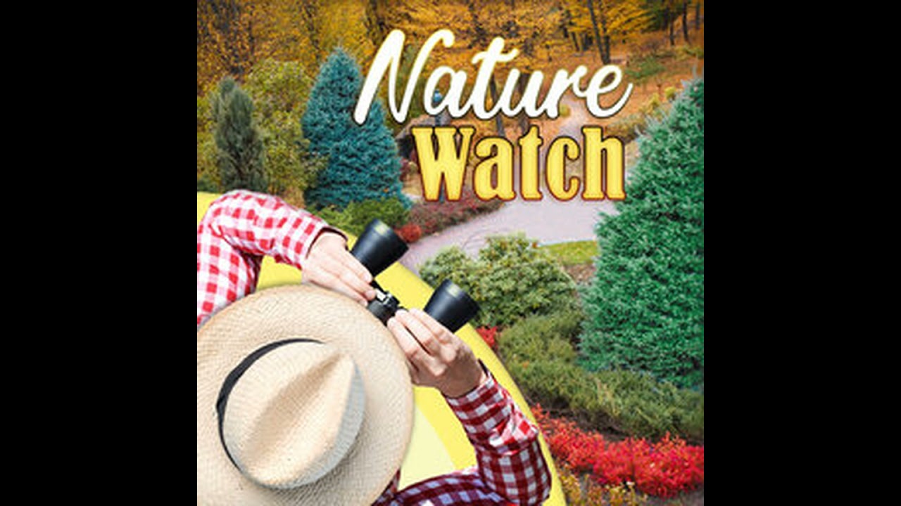 Nature Watch 1/31/26