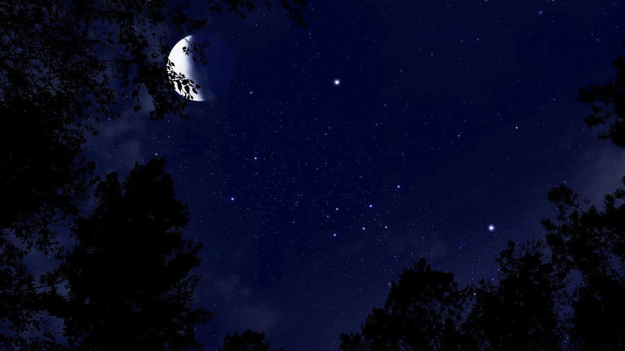 OUTDOOR NIGHT AMBIENCE SOUND EFFECT | HQ SOUND EFFECTS