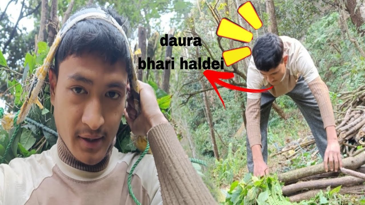 Jungle ma ? 😱