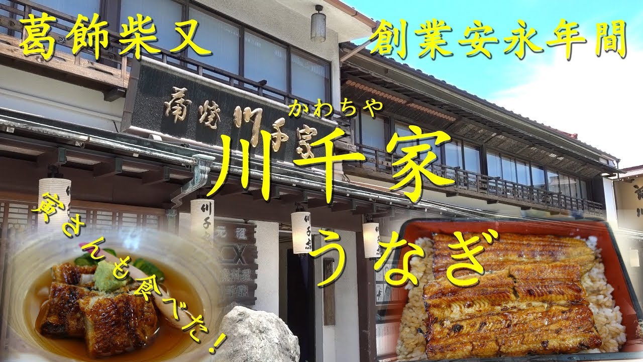 葛飾柴又【川千家】のうなぎ Eel dishes of KAWACHIYA in Shibamata.【飯動画】