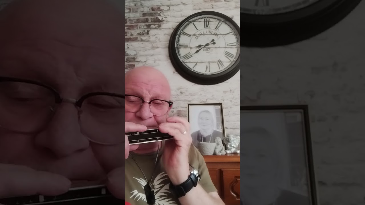 CHROMATIC HARMONICA 🎵🎶