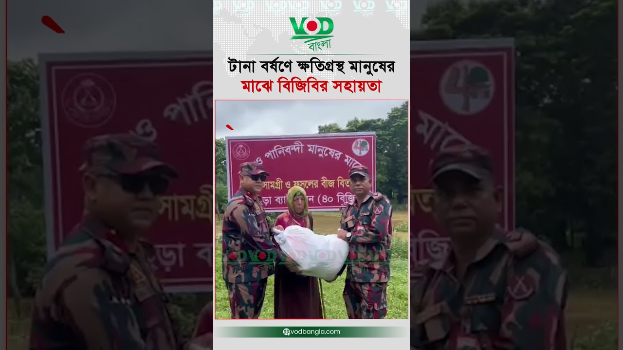 টানা বর্ষণে ক্ষতিগ্রস্ত মানুষের মাঝে বিজিবির সহায়তা | BGB | Monsoon Relief | VOD Bangla
