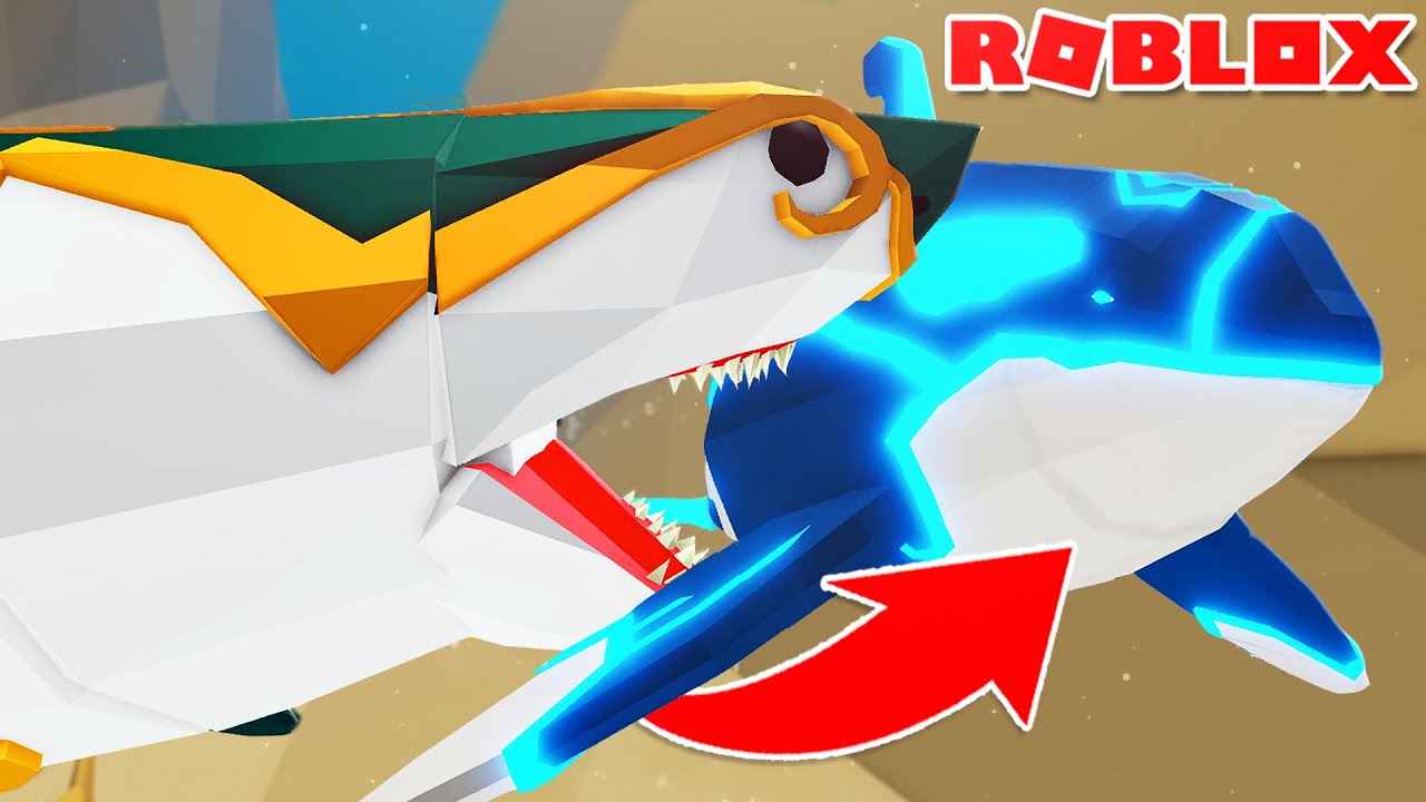 COMO DERROTAR o NOVO BOSS TUBARÃO e CONSEGUIR a ORCA! | ROBLOX Animal Simulator