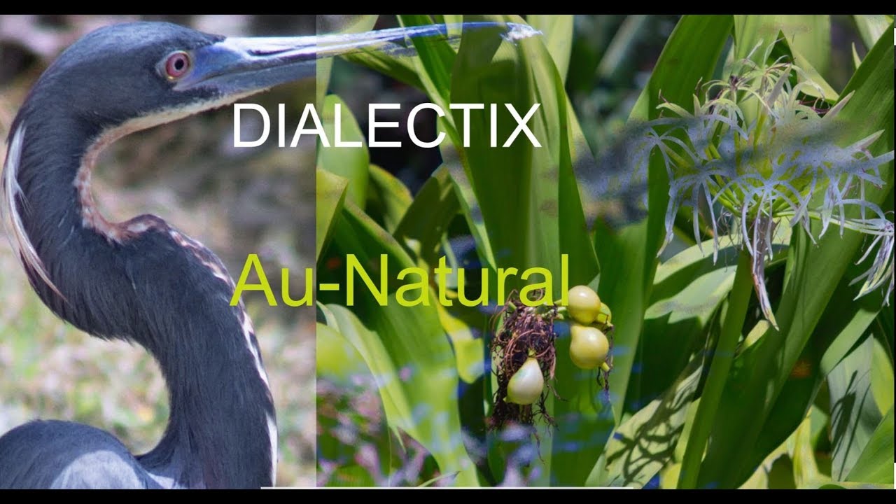 Dialectix   Au Natural (Mini Film Poem)