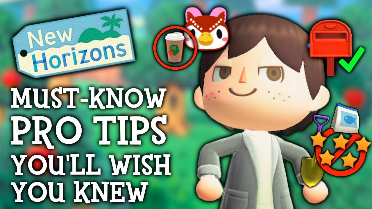 15 Tips I WISH I Knew Sooner In Animal Crossing New Horizons