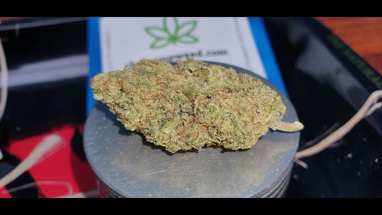 CBDHempWeed - White Russian CBD Flower Review