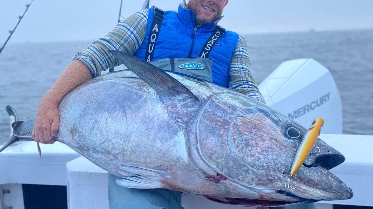Deepwater Bluefin Tuna | Topwater Poppers