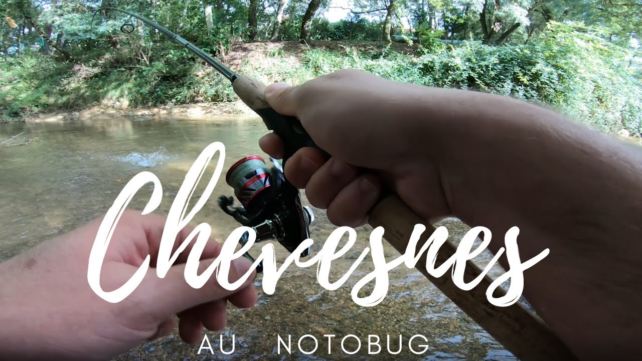 Pêche en UL : Chevesnes au Notobug (Tuto et explications)