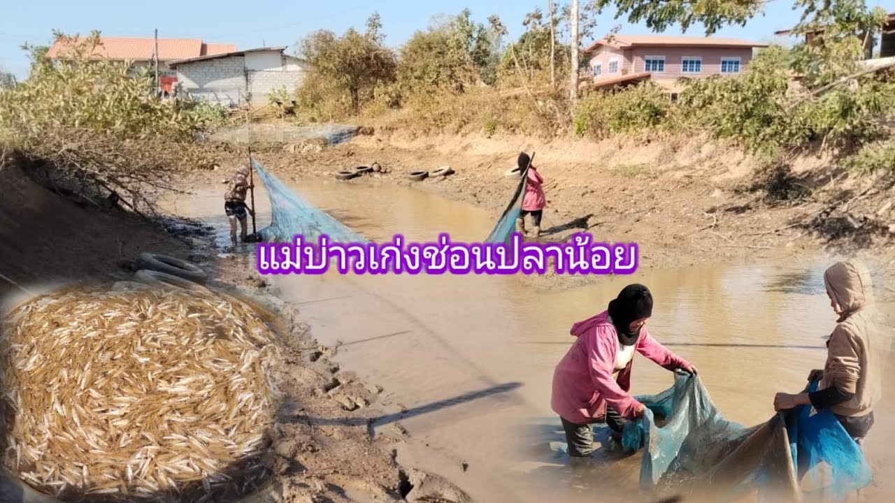 แม่และหลานชายส่อนปลาซิวได้เยอะสุดๆ