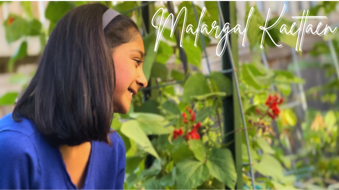 Malargal Kaettaen Cover | Shreeranjani & Shreenidhi