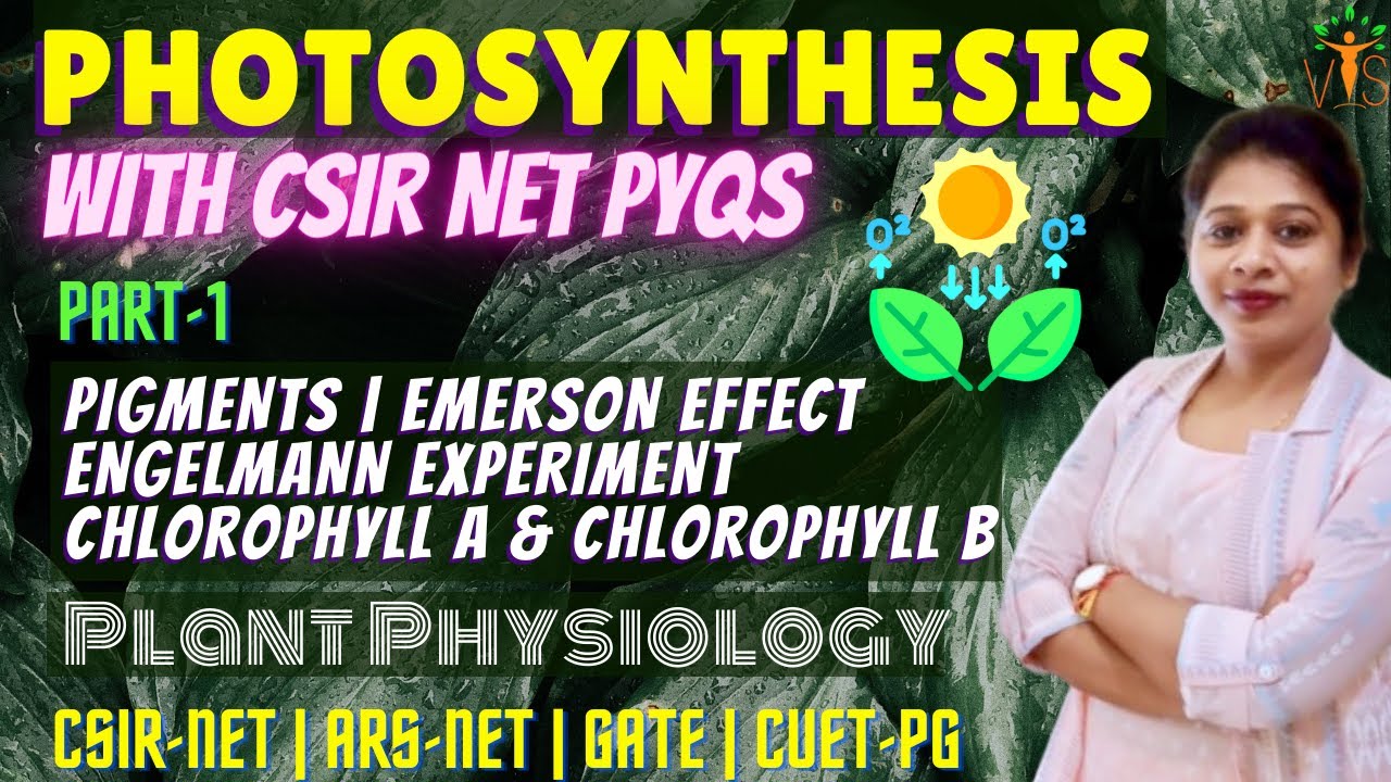 Photosynthesis 1 | Photosynthetic Pigments | Emerson Effect and Red Drop | Engelmann Experiment