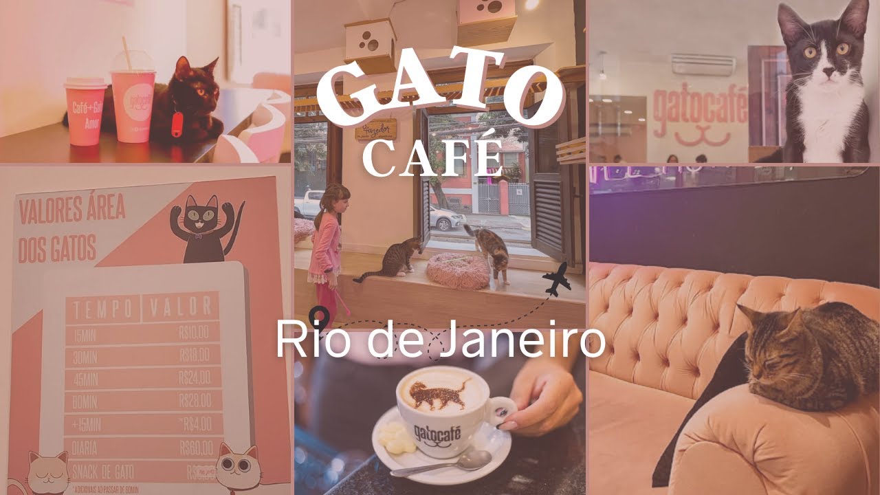 GATO CAFÉ NO RIO DE JANEIRO - Vem ver o Cat Café em Botafogo