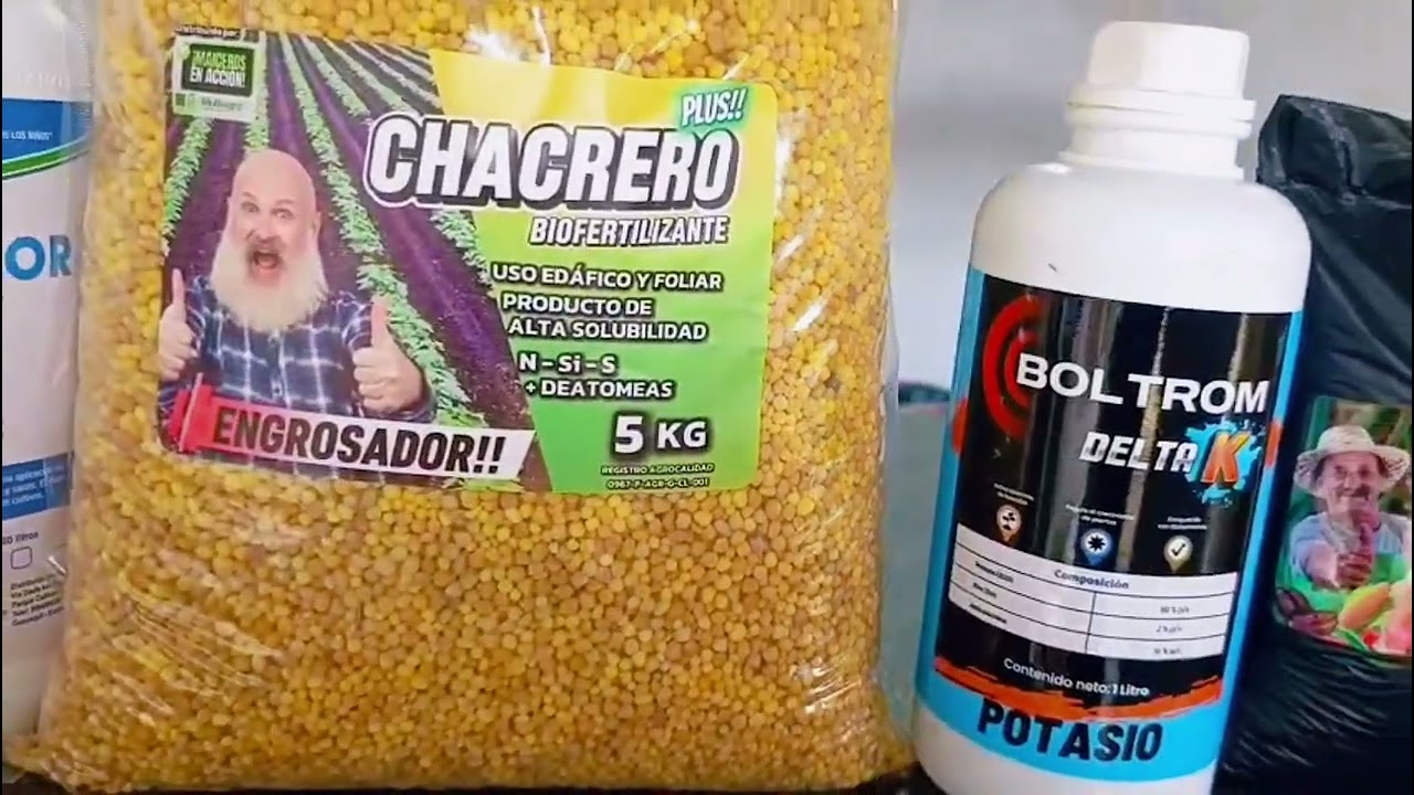 MAICEROS