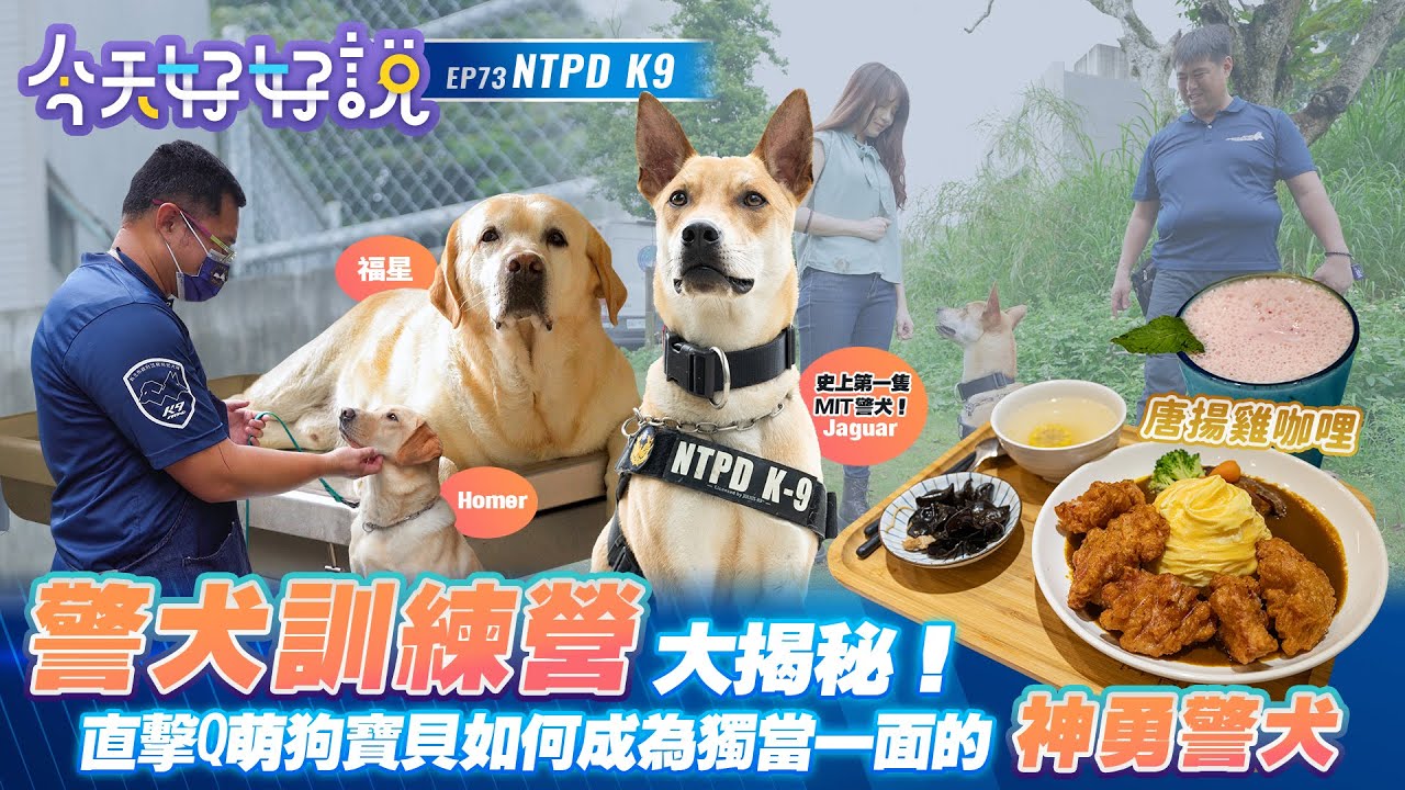 【今天好好說】EP73 警犬訓練營大揭秘！直擊Q萌狗寶貝如何成為獨當一面的神勇警犬！