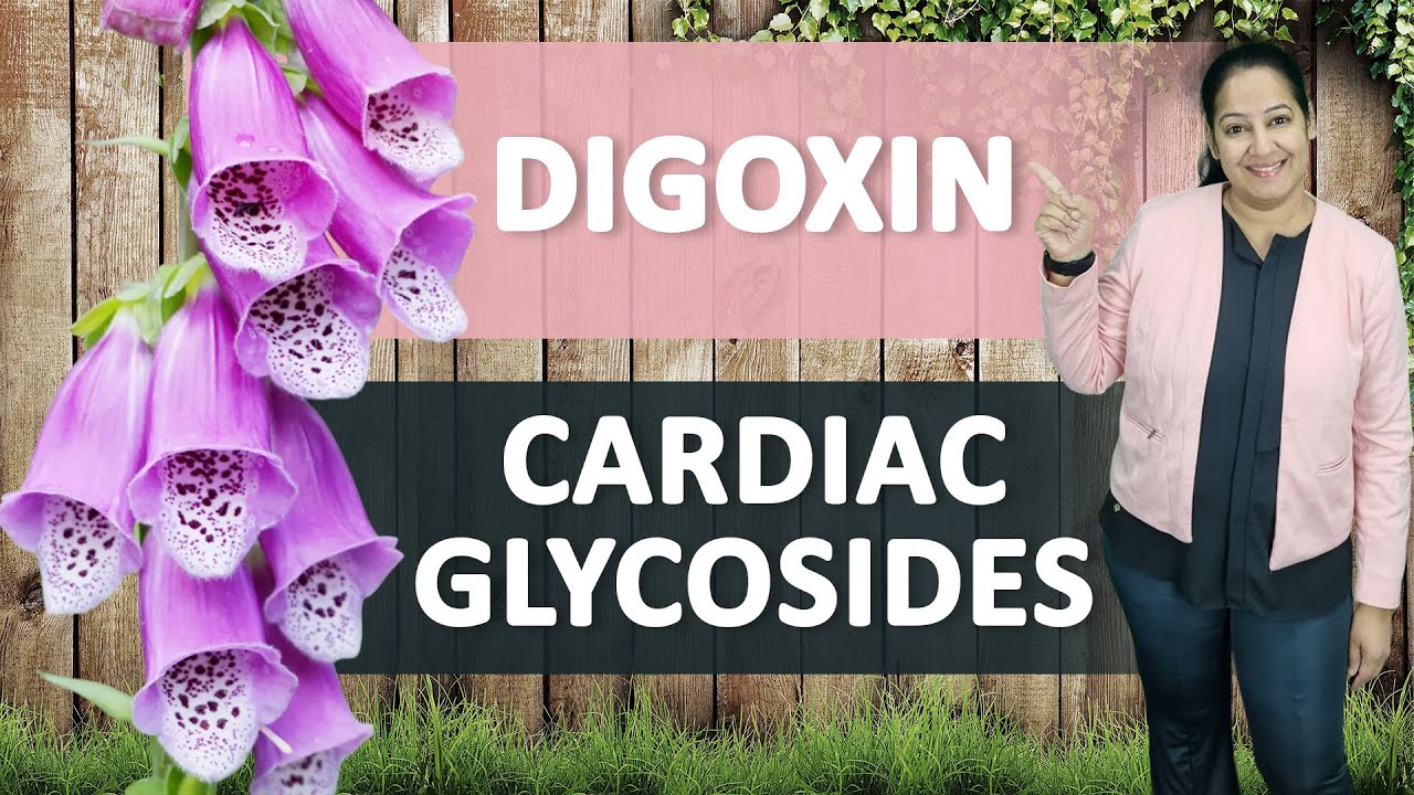Digoxin (Digitalis) Mechanism of Action | Heart Failure Pharmacology | MedLive by Dr Priyanka