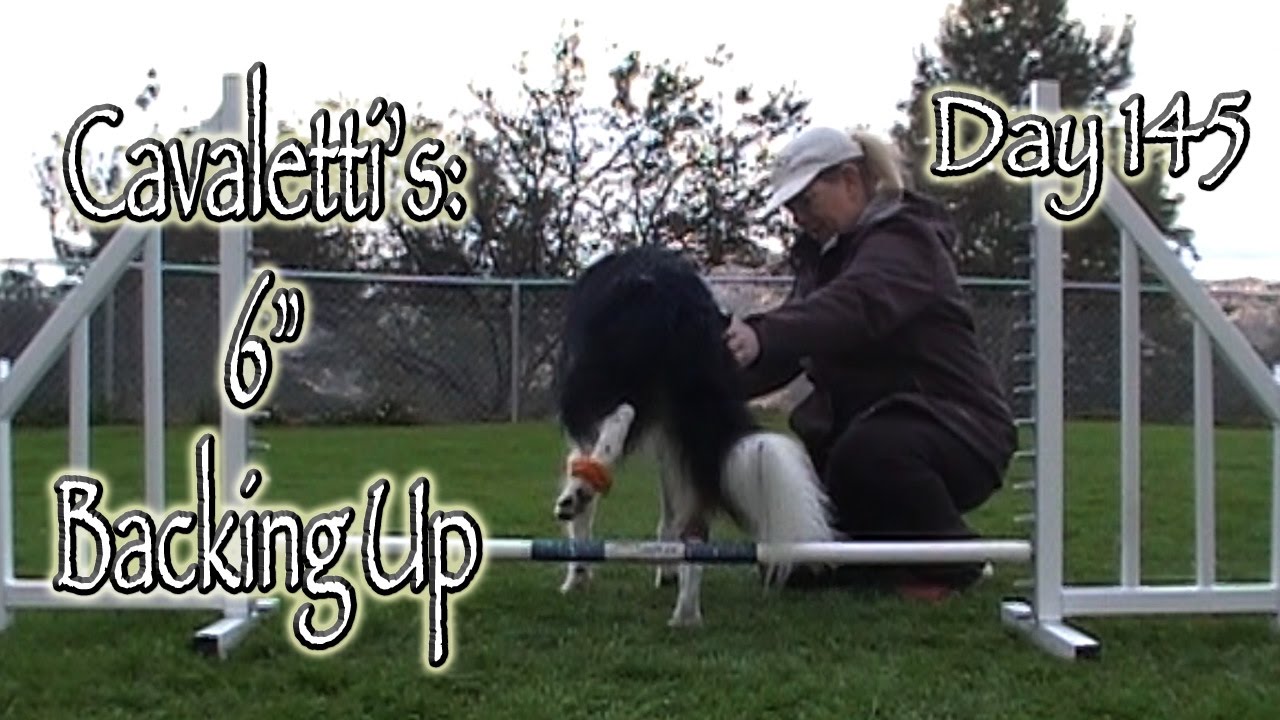 Day 145: Cavaletti's 6
