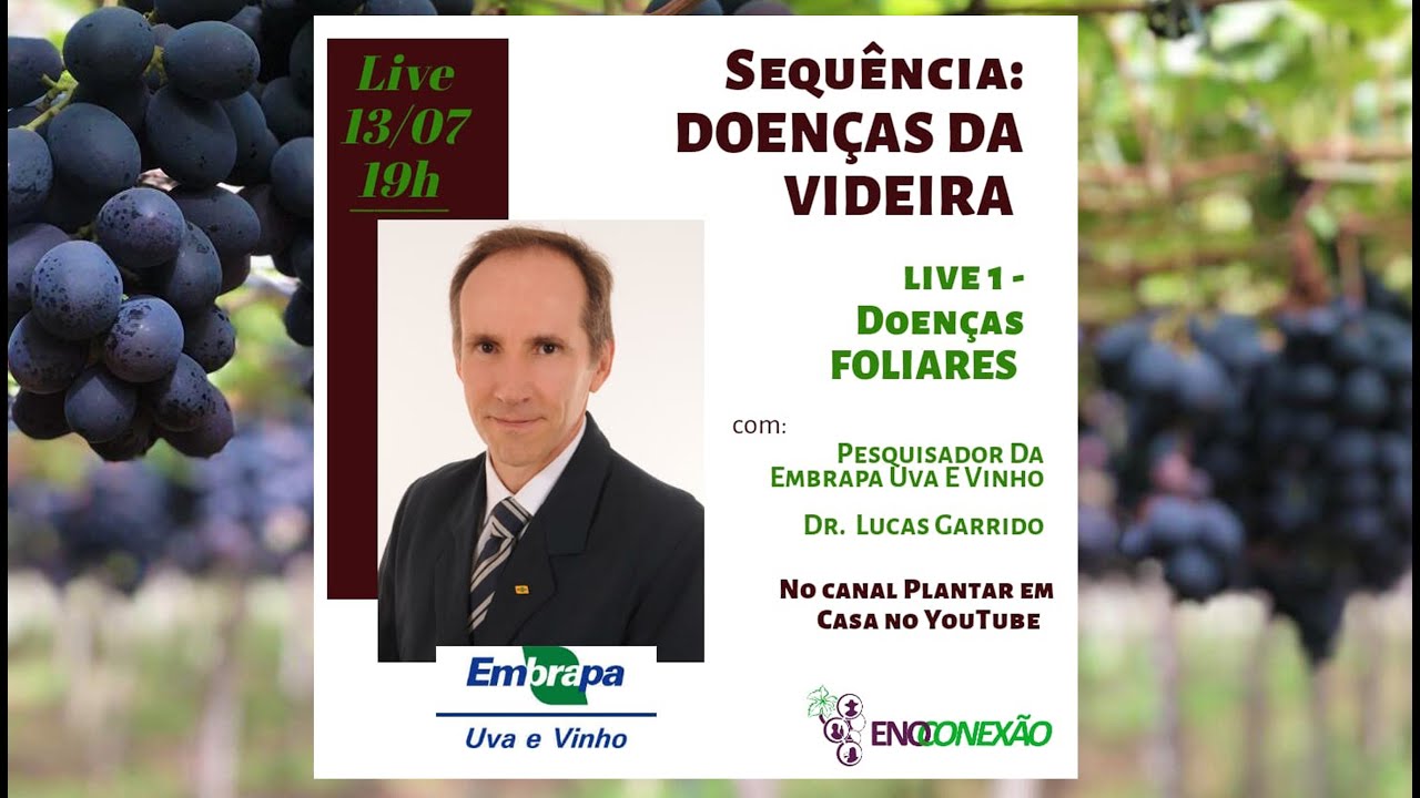 Live Manejo das Doenças Foliares da Videira com Lucas Garrido