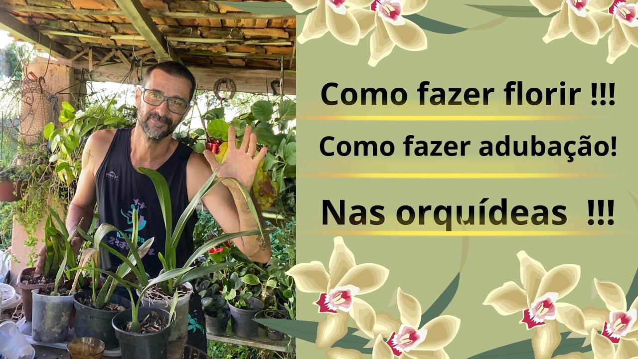 Como fazer florir !!! Como fazer adubação! Nas orquídeas !!!