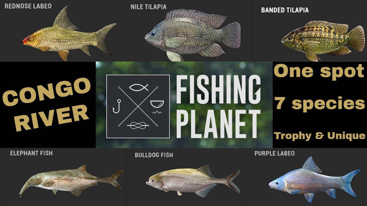 Fishing Planet, Congo River, 6 species, Trophy & Unique, One spot