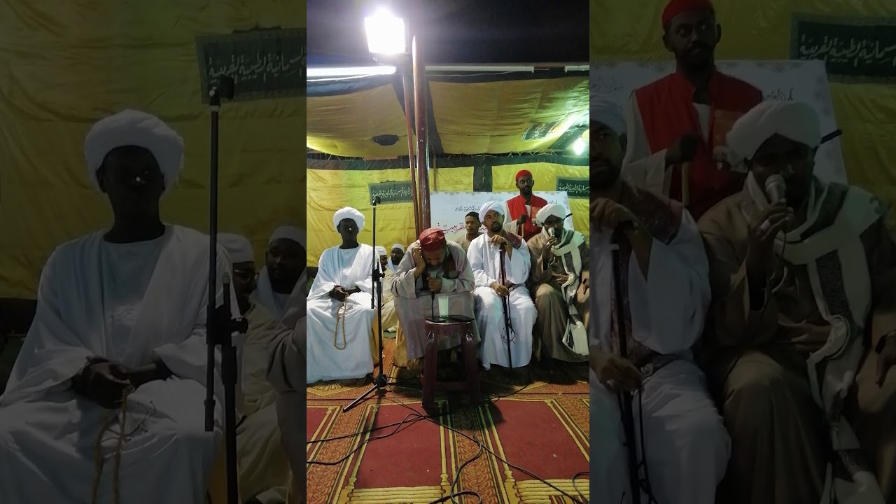 ليلة المولد ش سعد مرسى ومحمد بشير هاشم