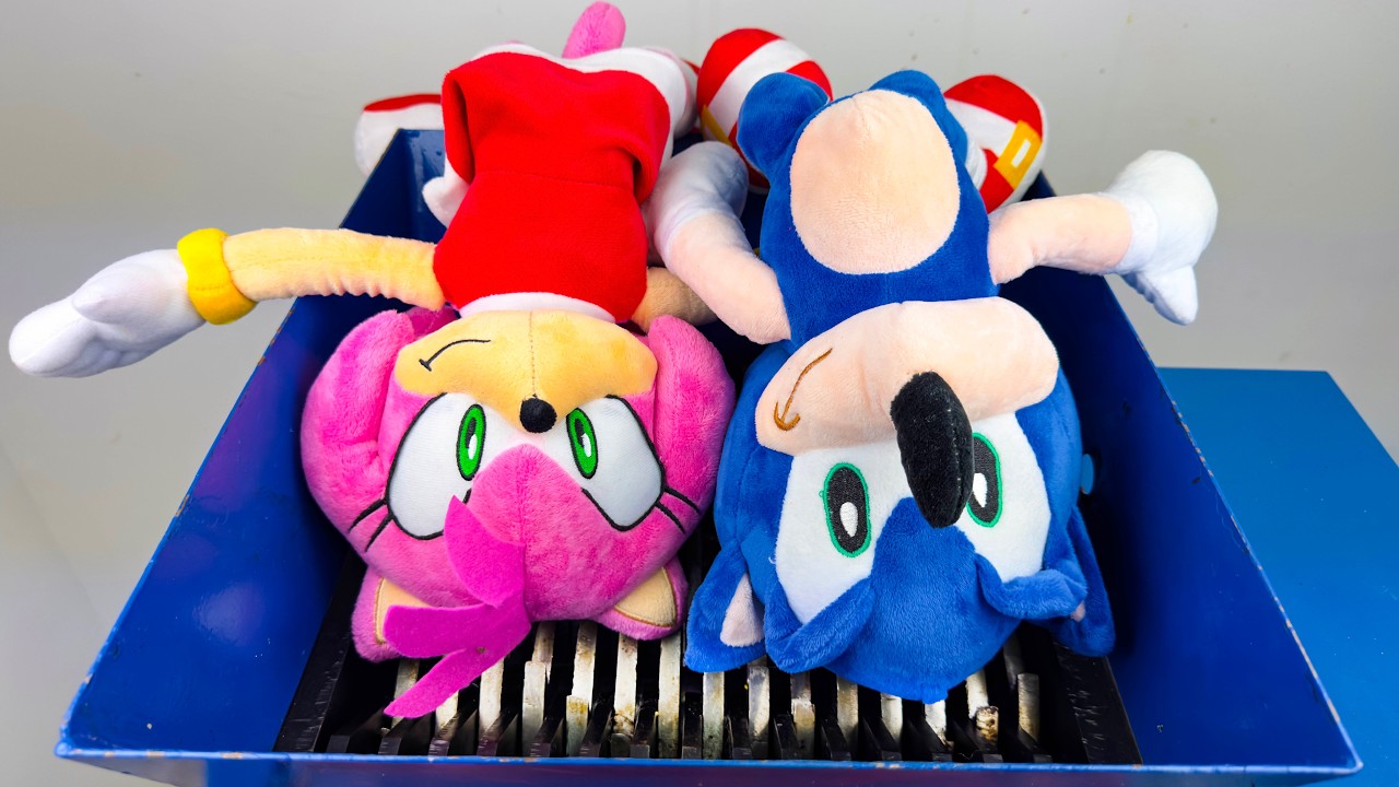 AMY ROSE & SONIC the HEDGEHOG vs Real SHREDDER