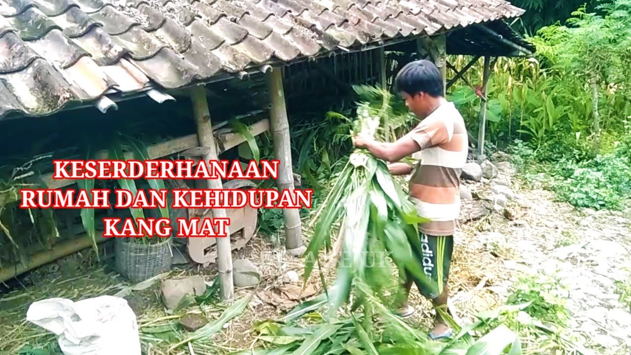 RUMAH BAMBU DAN KEHIDUPAN SEDERHANA KANG OSMAT DI DESA TERPENCIL 