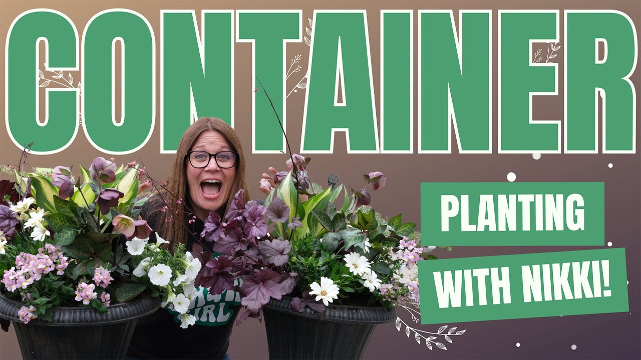 Container Planting With Proven Winners Direct
