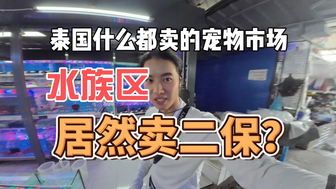 【泰国】东南亚最大宠物市场水族区有什么？