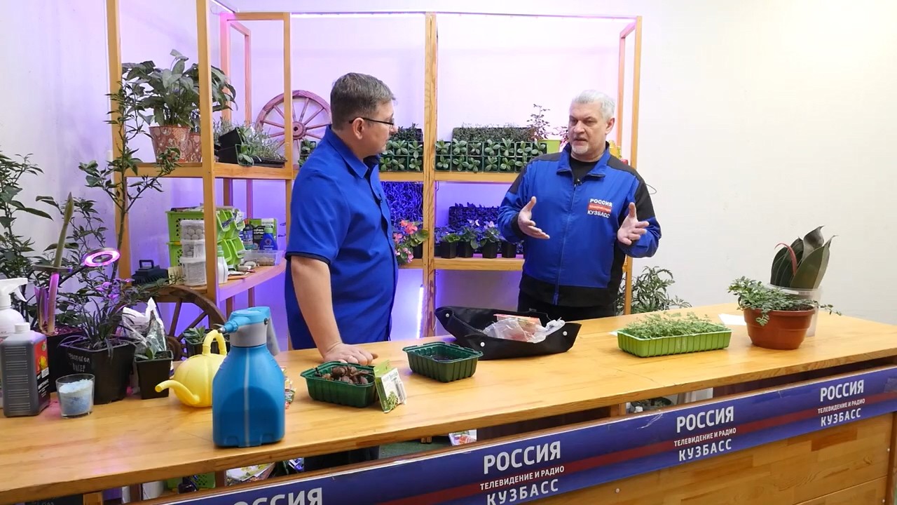 Вести.Интервью: Владислав Кундасёв, агроном
