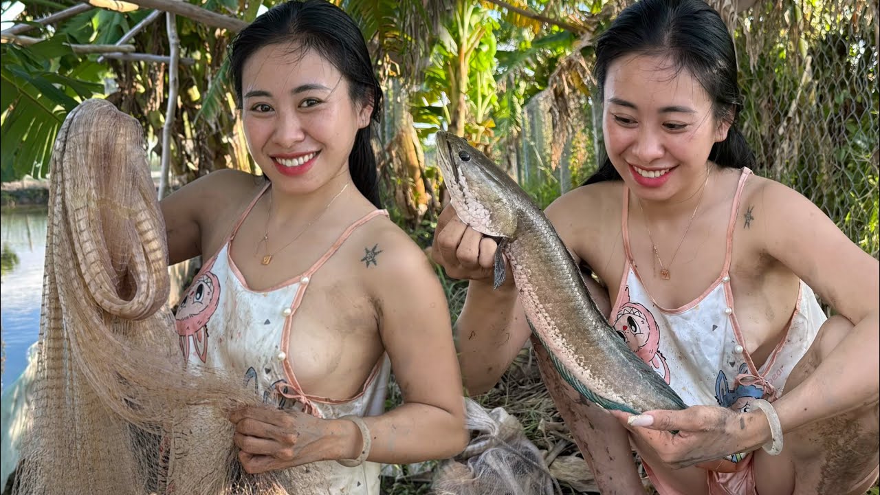Hết Hồn Khi Chài Dính Cá Lóc Khủng, Cùng Mẻ Cá Đồng Ngon Tuyệt