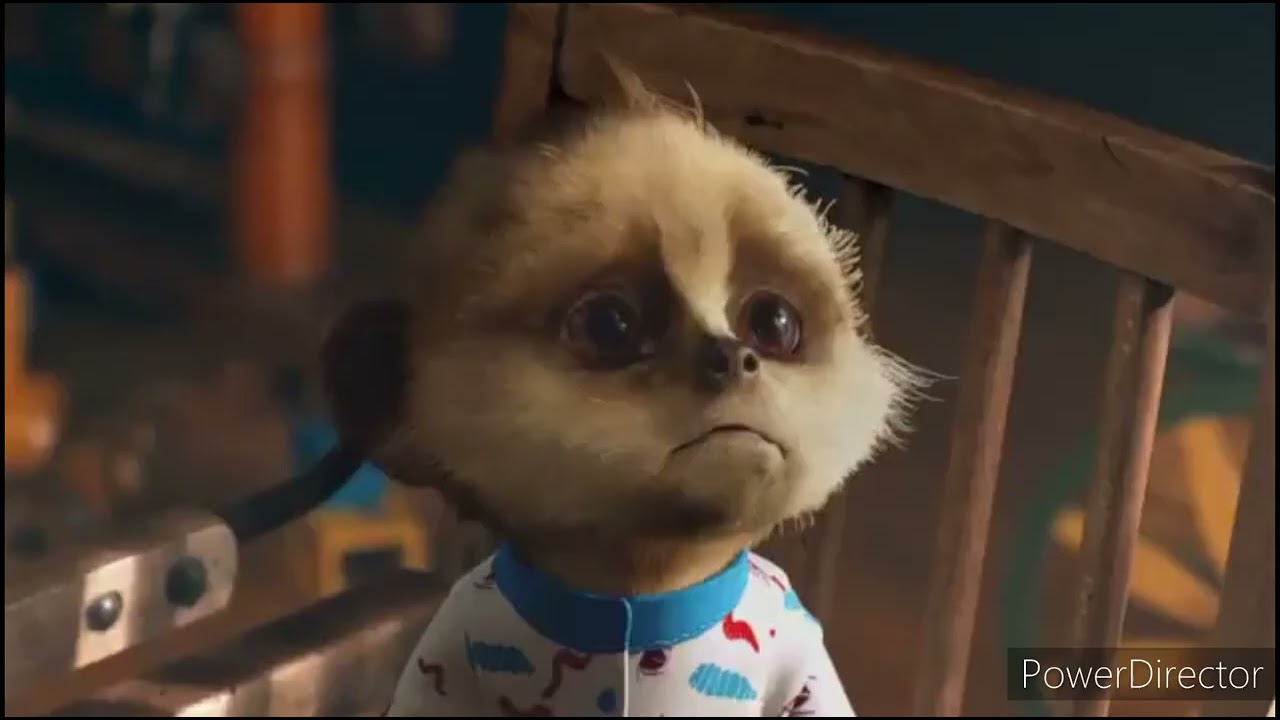 Compare The Meerkat All Adverts Including Sponsorship Compilation Part 3